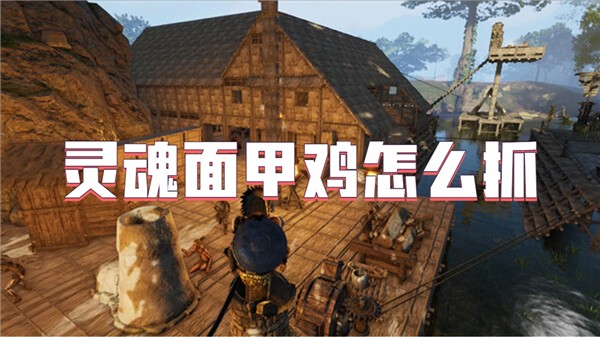 灵魂面甲鸡怎么抓