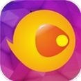 六夜视频IOS版