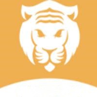 成全视频免费观看播放最新版